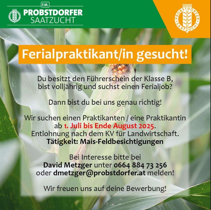 Saatzucht Praktikant
