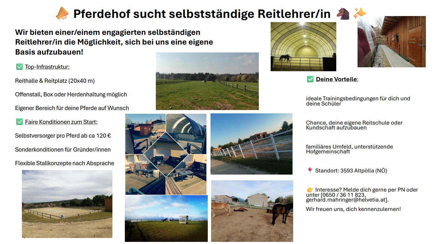 ReitlehrerIn