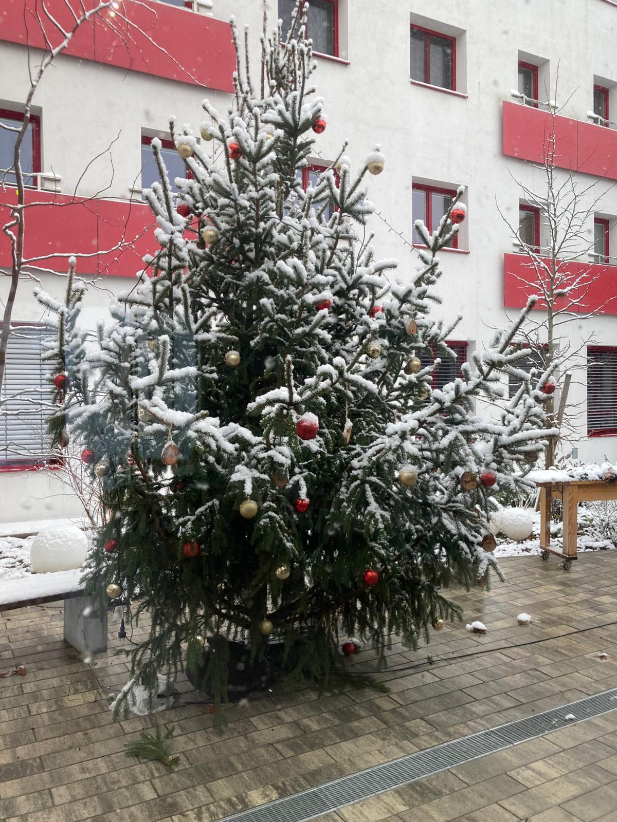 WhatsApp Image 2025-12-24 at 13.08.41