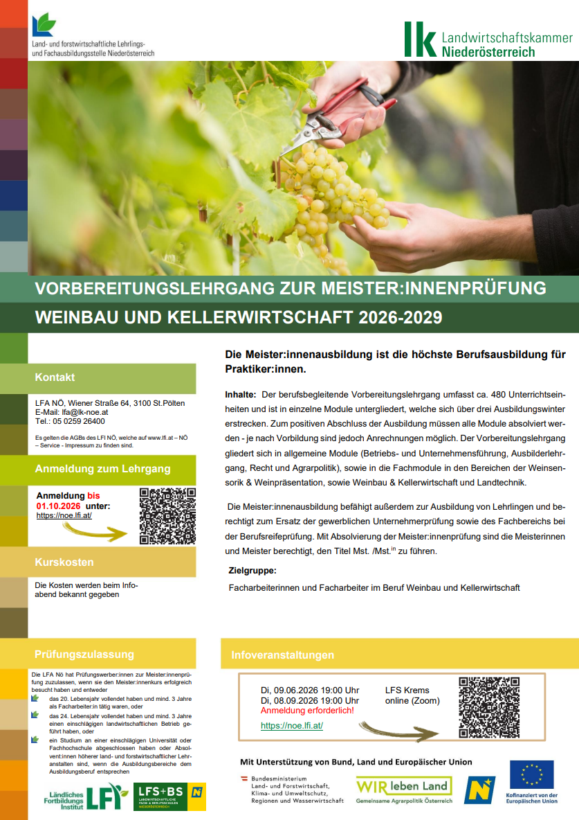 meisterprüfung wb WB